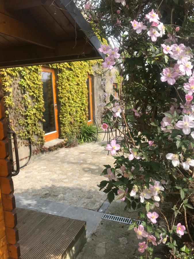 Seaside Cottage Duncannon Ngoại thất bức ảnh